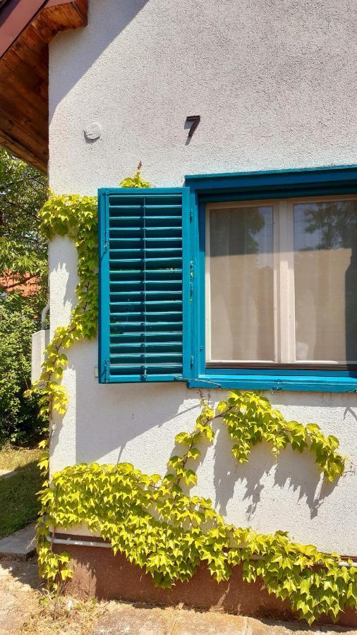 Szalakota Haz Villa Balatongyorok Bagian luar foto
