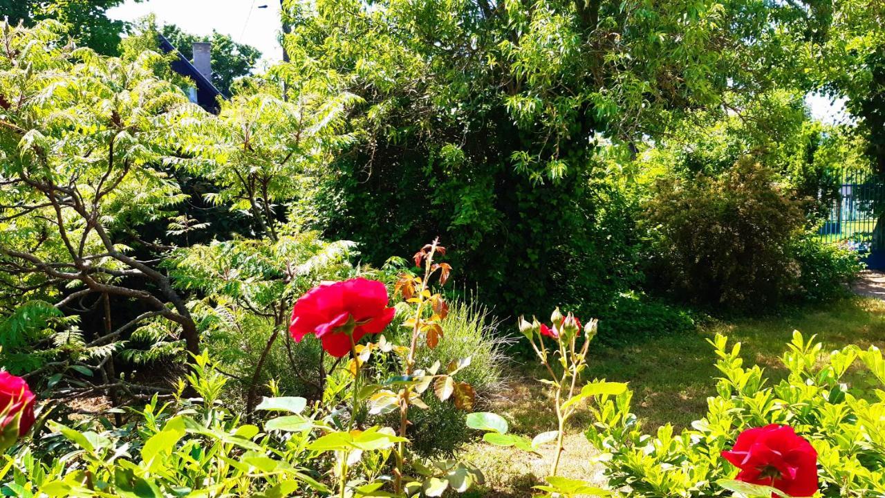 Szalakota Haz Villa Balatongyorok Bagian luar foto