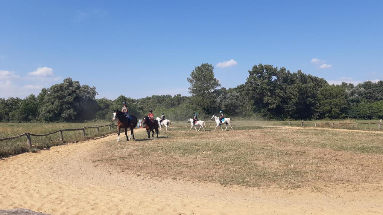 Szalakota Haz Villa Balatongyorok Bagian luar foto